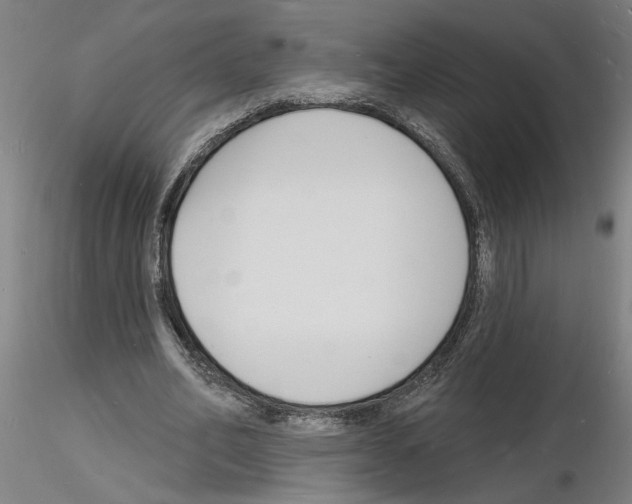 X0000116130582201001041013