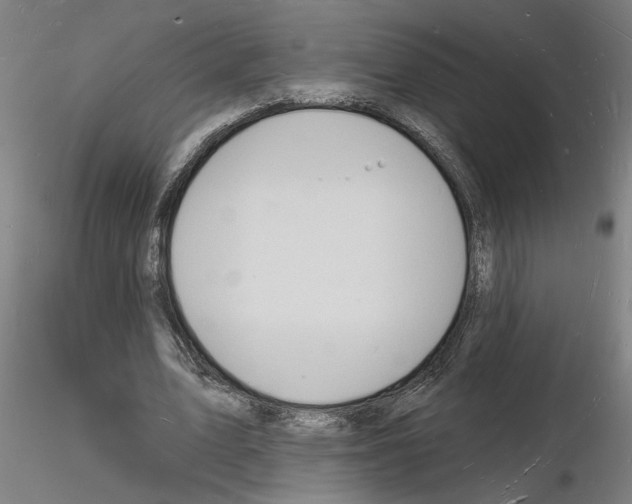 X0000116130583201001041013