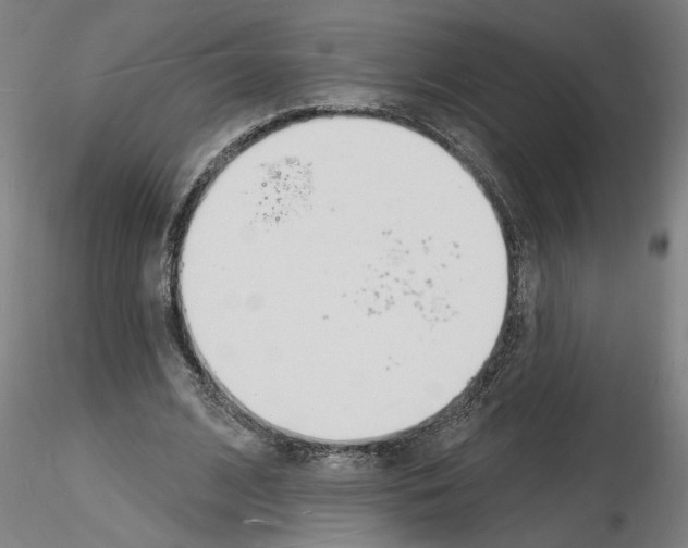 X0000116130584201001041013