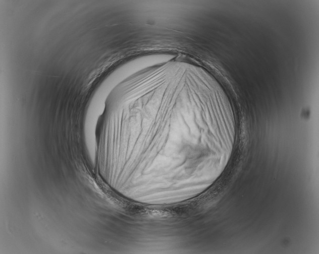 X0000116130585201001041013