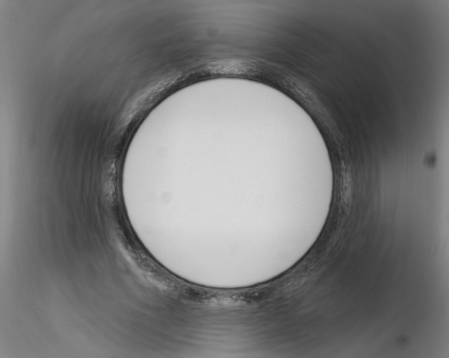X0000116130586201001041013