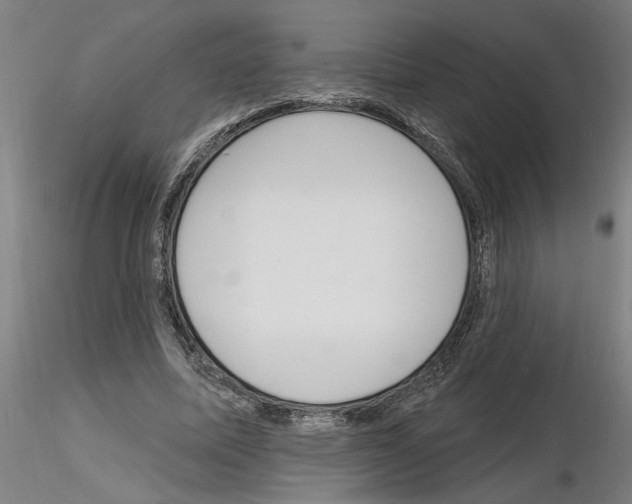 X0000116130587201001041013