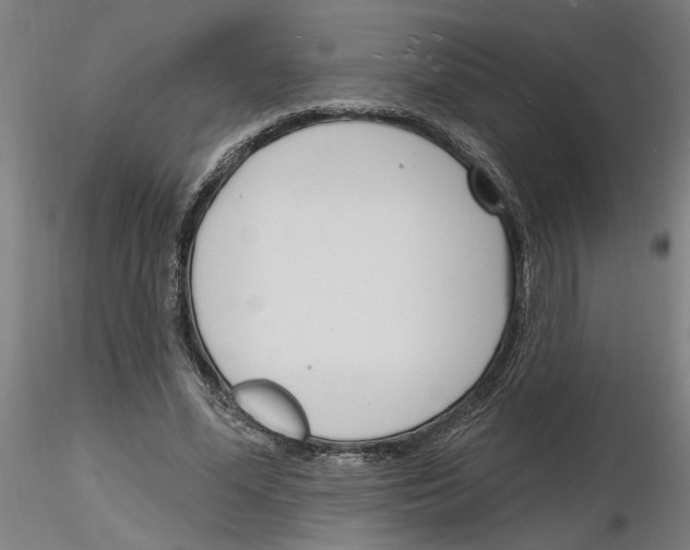 X0000116130588201001041013