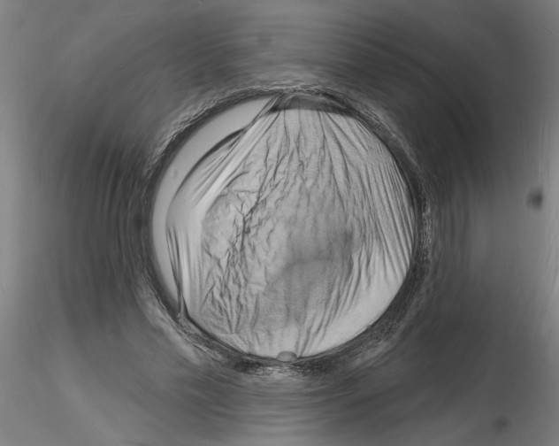 X0000116130589201001041013
