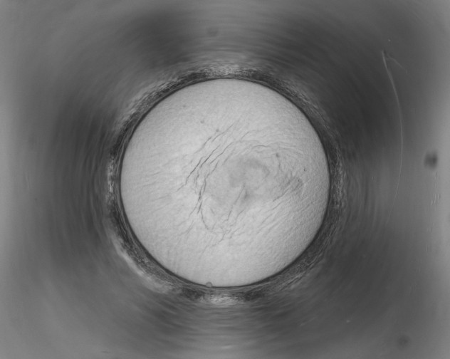 X0000116130590201001041013