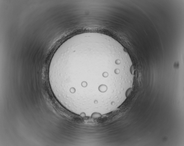 X0000116130591201001041013