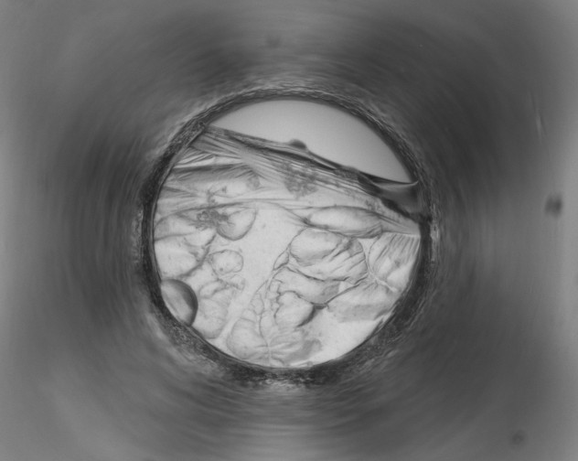 X0000116130592201001041013