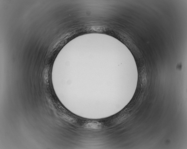 X0000116130595201001041013