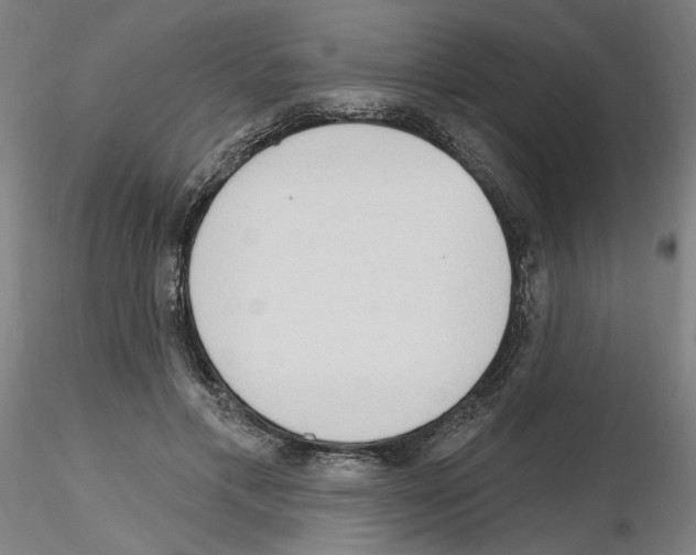 X0000116130597201001041013