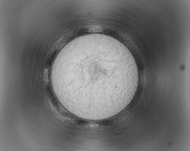 X0000116130598201001041013