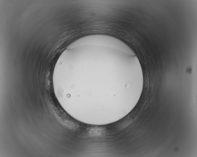 X0000116130599201001041013