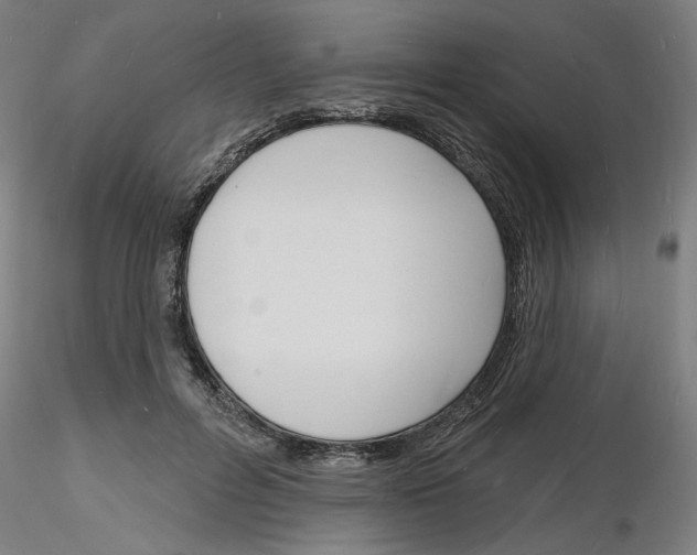 X0000116130600201001041013