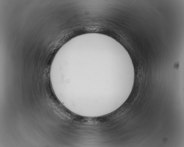 X0000116130601201001041013