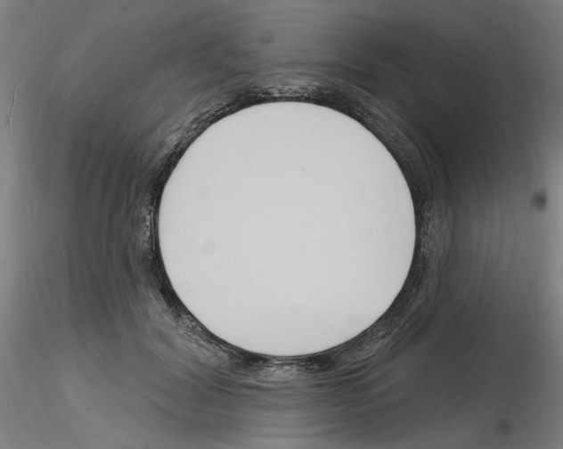 X0000116130604201001041013