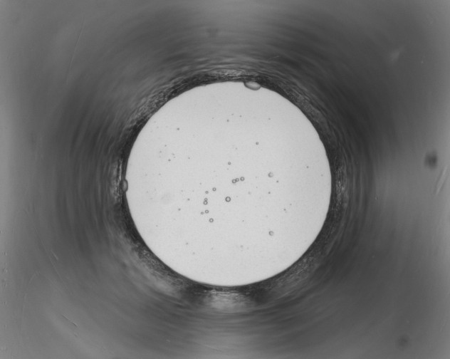 X0000116130605201001041013