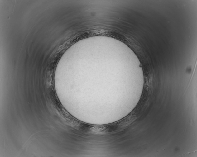 X0000116130606201001041013