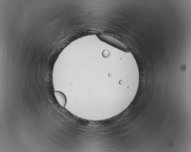 X0000116130608201001041013