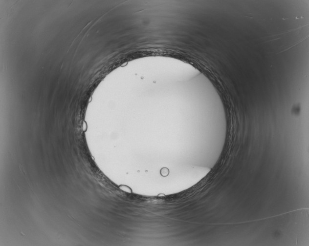 X0000116130609201001041013