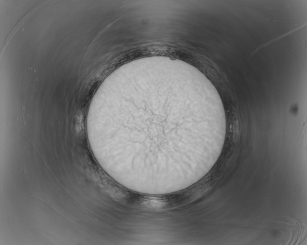 X0000116130610201001041013