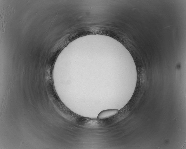 X0000116130611201001041013