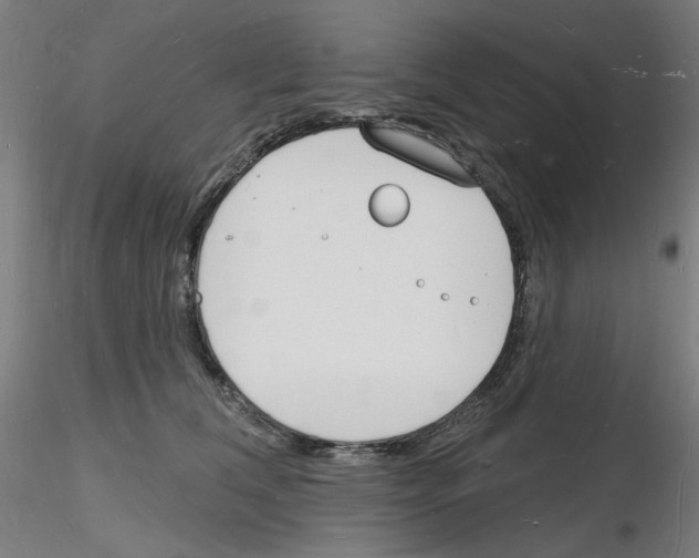 X0000116130612201001041013