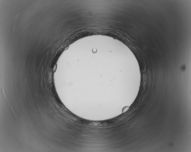 X0000116130613201001041013
