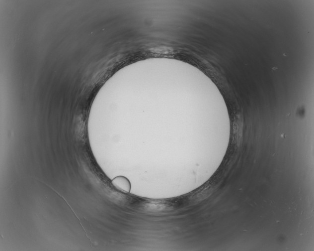 X0000116130614201001041013