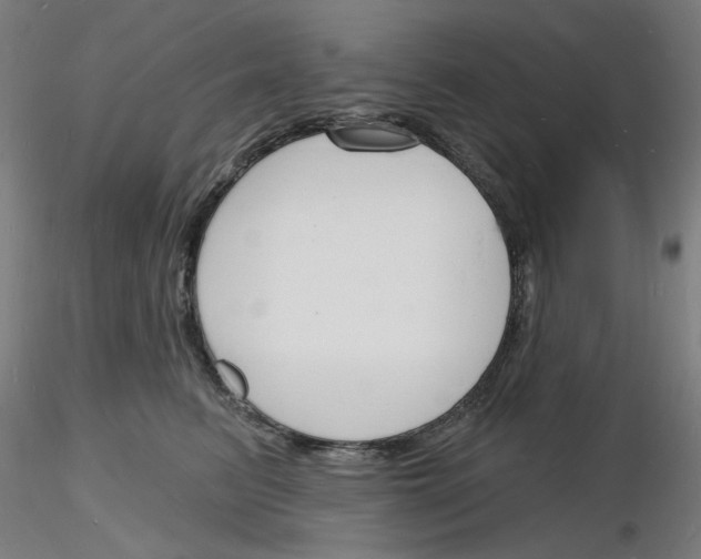 X0000116130615201001041013