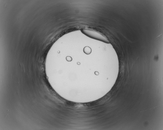 X0000116130616201001041013