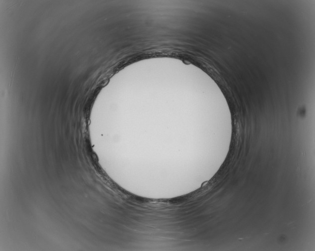 X0000116130617201001041013