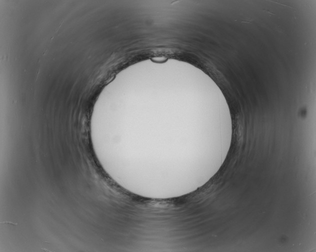 X0000116130619201001041013
