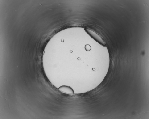 X0000116130620201001041013