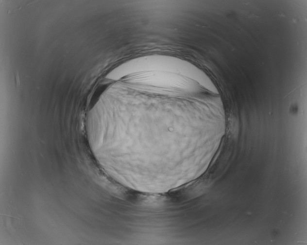 X0000116130621201001041013