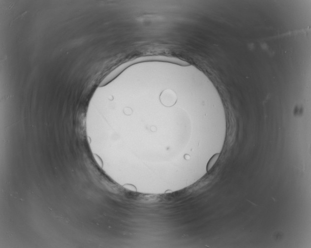 X0000116130624201001041013