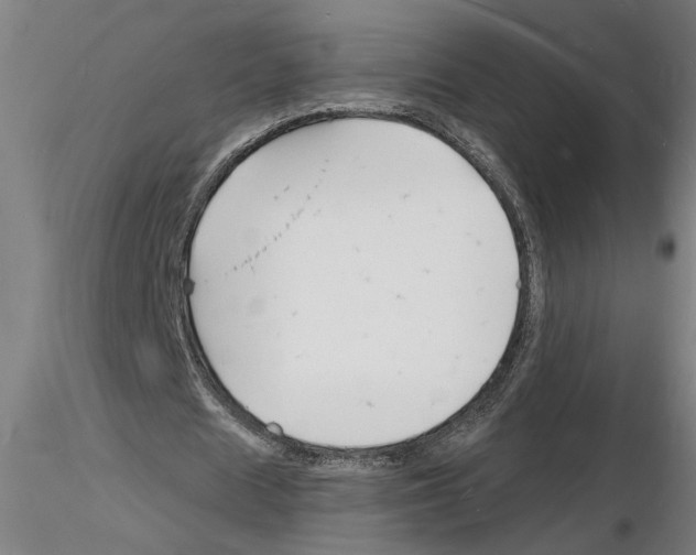 X0000116130625201001041012