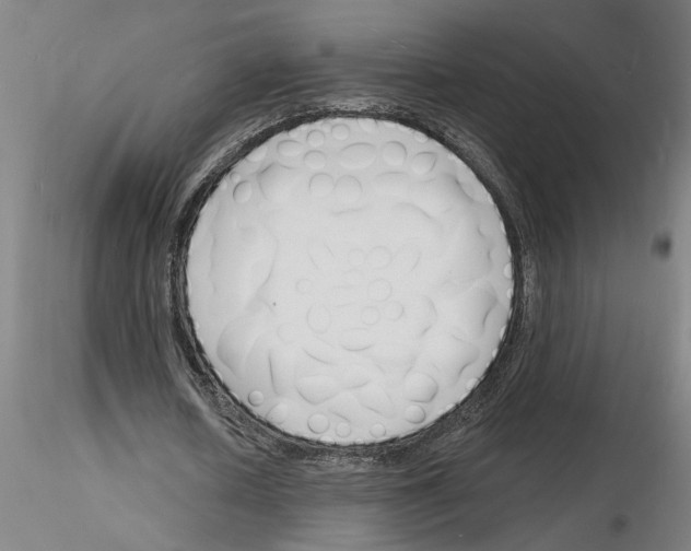 X0000116130626201001041012