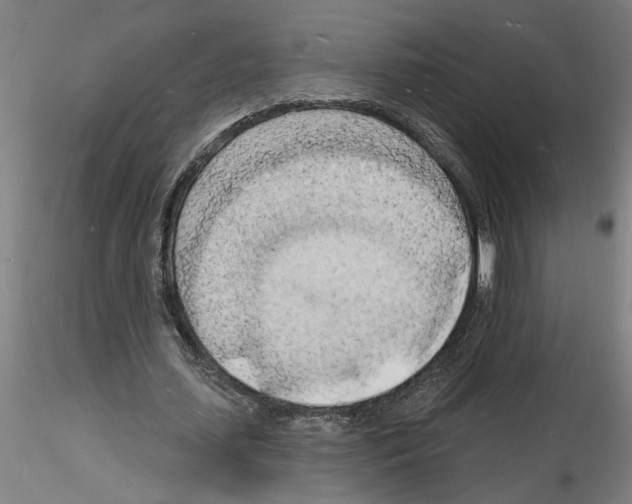 X0000116130627201001041012