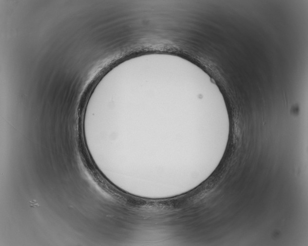 X0000116130630201001041012