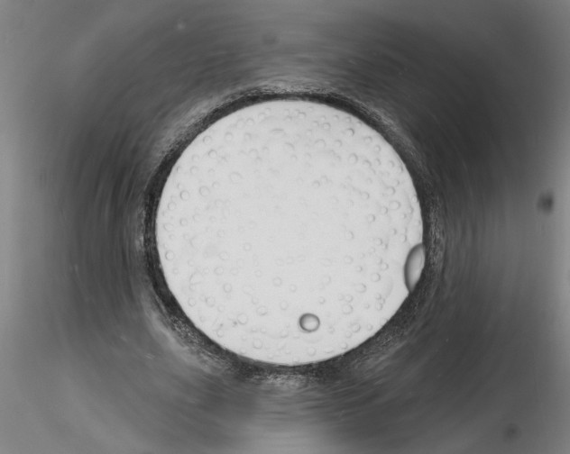 X0000116130631201001041012