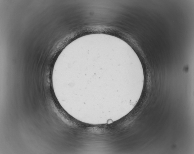 X0000116130633201001041012