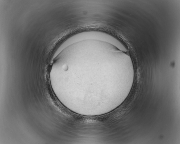 X0000116130637201001041012