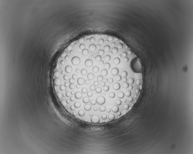 X0000116130638201001041012