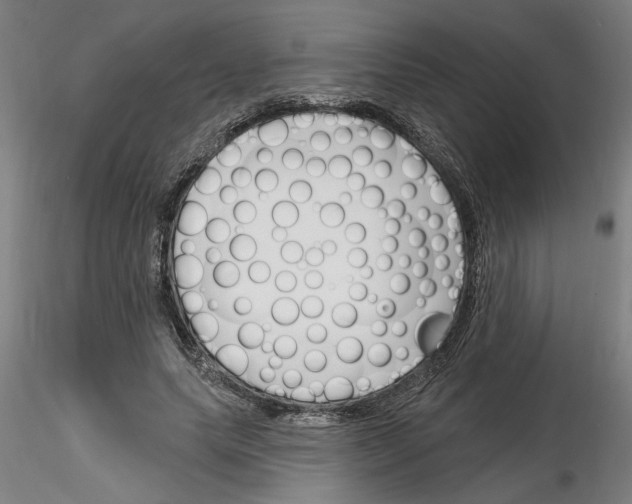 X0000116130639201001041012