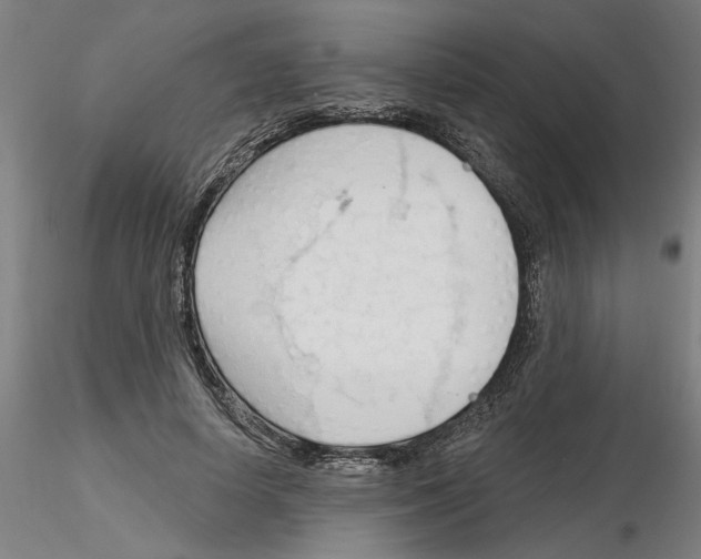 X0000116130642201001041012