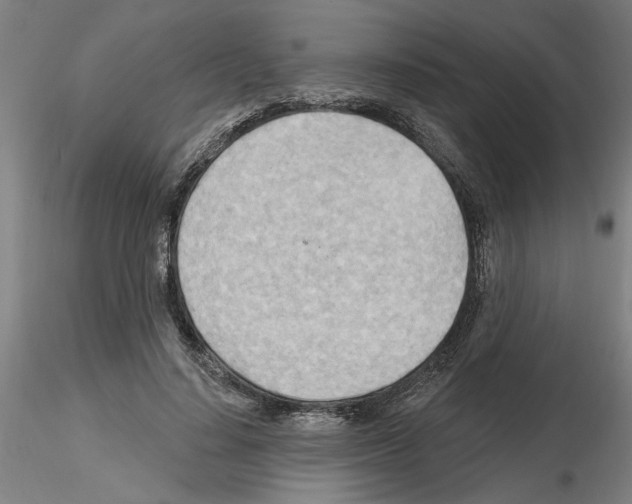 X0000116130644201001041012