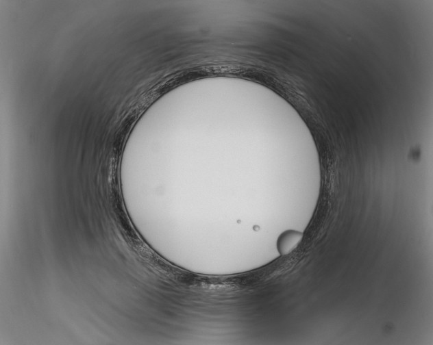 X0000116130645201001041012