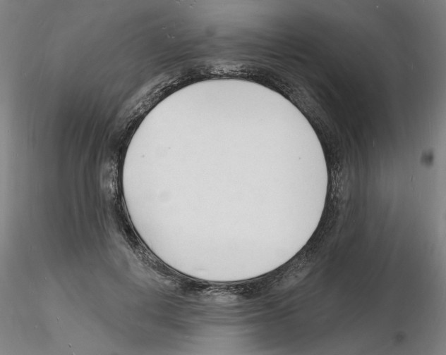 X0000116130648201001041012