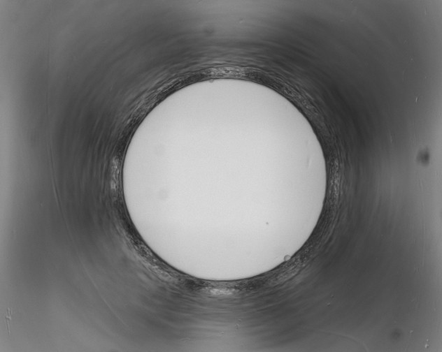 X0000116130649201001041012