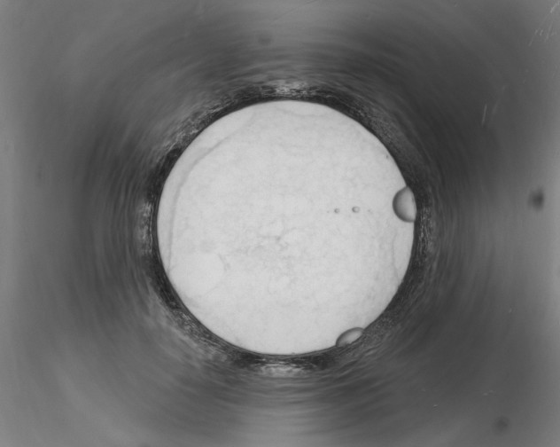X0000116130650201001041012