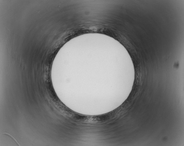 X0000116130656201001041012